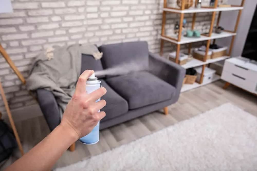 Jak pozbyć się zapachu nowych mebli i cieszyć się świeżym powietrzem